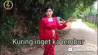Inget ka lembur cipt Asep lili vocal neneng fitri