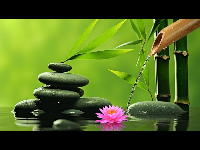 竹水噴水 - 自然の音で癒される音楽 竹水噴水【ヒーリングミュージック