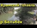Рыбалка в Крыму. р. Бельбек 2018 год. Крымский голавль