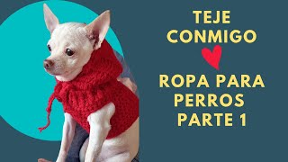 Diy Como Hacer Jersey Con Capucha Para Perrito A Crochet Muy Fácil Con Solo 50 Gramos De Lana