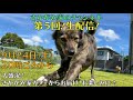 【生配信】さかがみ家カフェより第５回！生配信！２０２２年９月２４日（土）２０時頃から