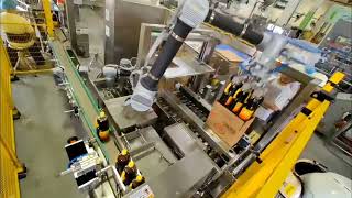 Stop Manual Packing! Cobot Boxing Solution for SMEs
