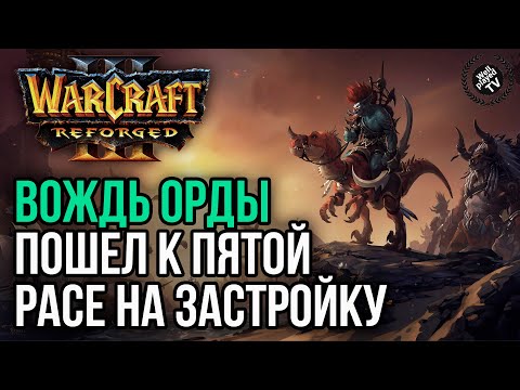 Видео: ВОЖДЬ ОРДЫ ПОШЕЛ К ПЯТОЙ РАСЕ НА ЗАСТРОЙКУ: Warcraft 3 Reforged