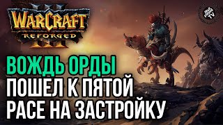 ВОЖДЬ ОРДЫ ПОШЕЛ К ПЯТОЙ РАСЕ НА ЗАСТРОЙКУ: Warcraft 3 Reforged