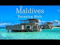モルディブ癒し散歩@ウォルドーフ・アストリア リラクゼーション ジャズBGM|Maldives walk at Waldorf Astoria with relaxing jazz