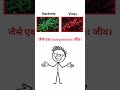 Bacteria और Virus — एक नहीं हैं! 🦠⚡🔥 #viral