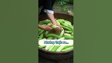 Công Dụng Của Mướp Đắng – Thực Phẩm Vàng Cho Sức Khỏe #nongsandungha #suckhoe #congdung #muopdang