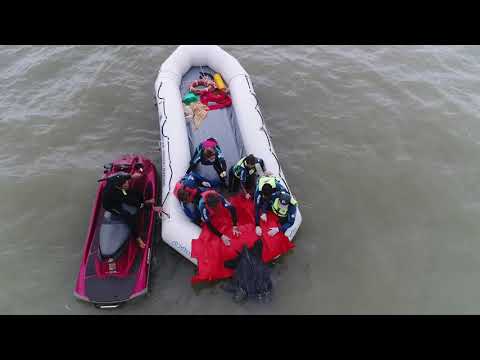 Operativo mar adentro: regresan al mar una tortuga laúd rescatada de más de 200 kilos