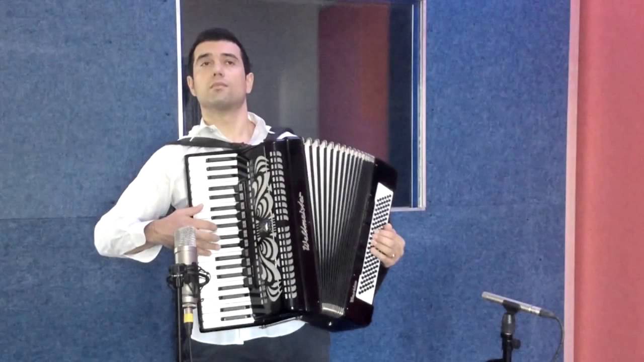 accordion player accordion player