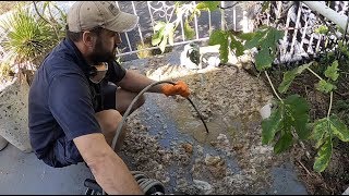 Blocked Drain 444