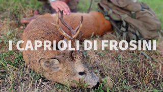 CACCIA AL CAPRIOLO IN TOSCANA  ROE DEER HUNTING IN TUSCANY