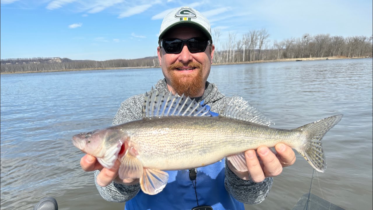 Dubuque Rigs for Mississippi River Sauger and Walleye 