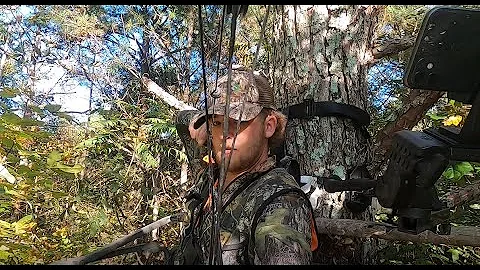 Shooting A Deer at 10 Yards With A Bow