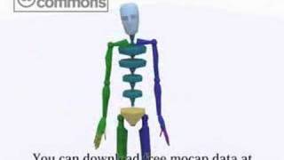 motion capture data Gesture/etc -Set 3-