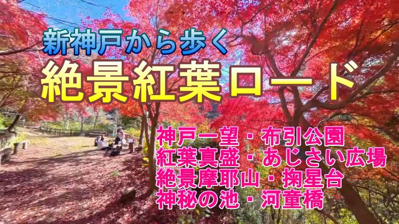 【紅葉ハイキング】新神戸〜摩耶山へ！布引の滝・布引公園・河童橋を歩く絶景Vlog
