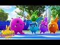 SUNNY BUNNIES - Crazy Assault Course | Season 6 | Cartoons for Kids