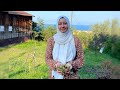 Turkish Family Picnic | Hazelnut Orchards | Boat Tour | Trabzon Eps#3