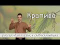 "Крапива" -  христианский рассказ для глухих и слабослышащих, журнал Светильник № 2 2020