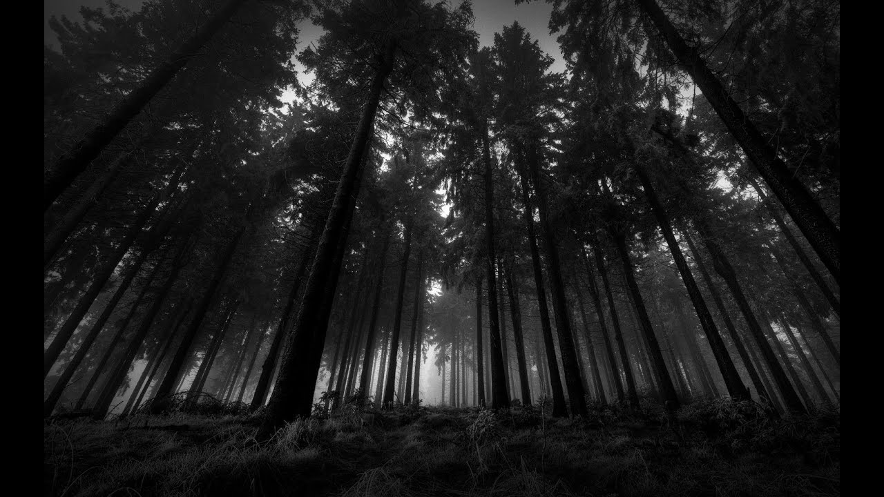 Taern | Wiatr kołysze w locie ćmy...