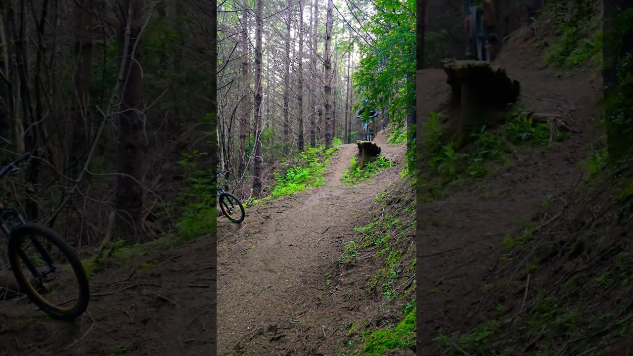 whiskey run stump jumper 