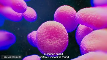 Introduction to microbial surface layers (S-layers)