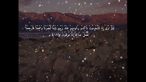 (وَلَوْ تَرَىٰ إِذِ الْمُجْرِمُونَ نَاكِسُو) من سورة السجدة للشيخ || محمد اللحيدان ||