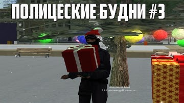 Полицейские будни на Samp-Rp Reborn #3 | Я Шериф LSPD