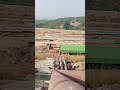 🏒🏑🏑🏑