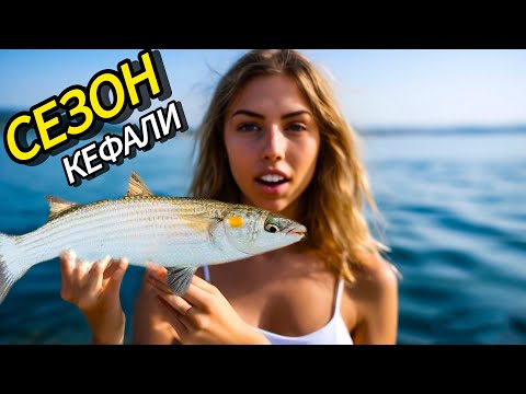 МОРСКАЯ ЛОВЛЯ КЕФАЛИ