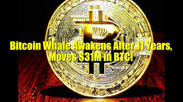 Bitcoin Whale Awakens After 11 Years, Moves $31M in BTC!