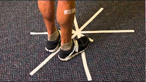 Exercise: a critical role in the treatment of Park...