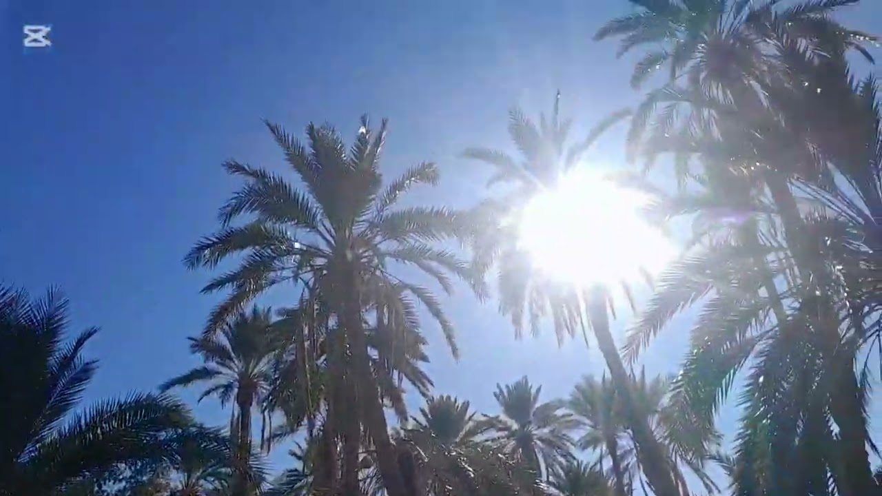 Ferkane..tebessa.algerie