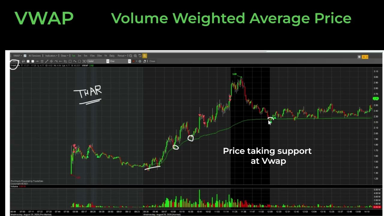 Tharimmune - THAR taking support at VWAP