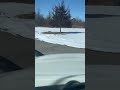 “Tractor trailer backing in (cab view).”