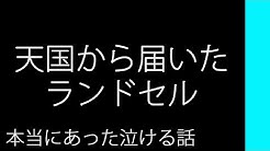 本当にあった泣ける話 Com Youtube 本当にあった泣ける話 Com Youtube