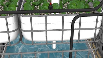 Aquaponic System Animation