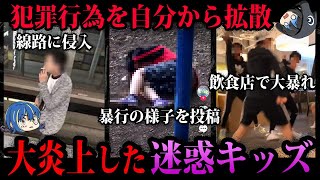 【ゆっくり解説】犯罪行為を堂々と自慢。大炎上した迷惑キッズ５選