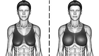 How To Naturally Lift Your Bust & Increase Chest Size