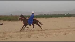 2Nd Cl Ralai Gohri In Balochistan Plus Speed