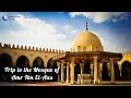 Our Trip To Amr Ibn El Aas Mosque 