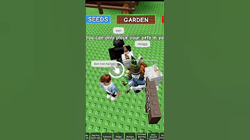 Only Save The Bacon Grewagarden Roblox Sofarsogood 