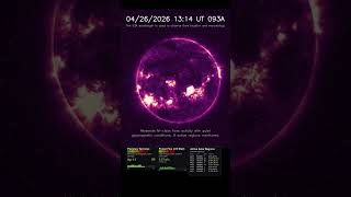 Sun 24 Hour Timelapse | Iron IX / 93 Å | Extreme UV (April 26, 2026) #shorts