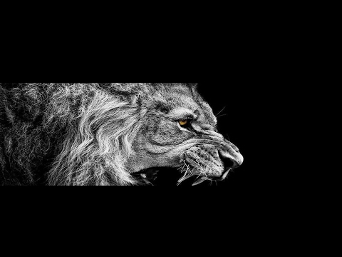 Charles Blakey Live Stream