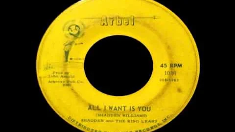 Shadden and The King Lears - All I Want Is You