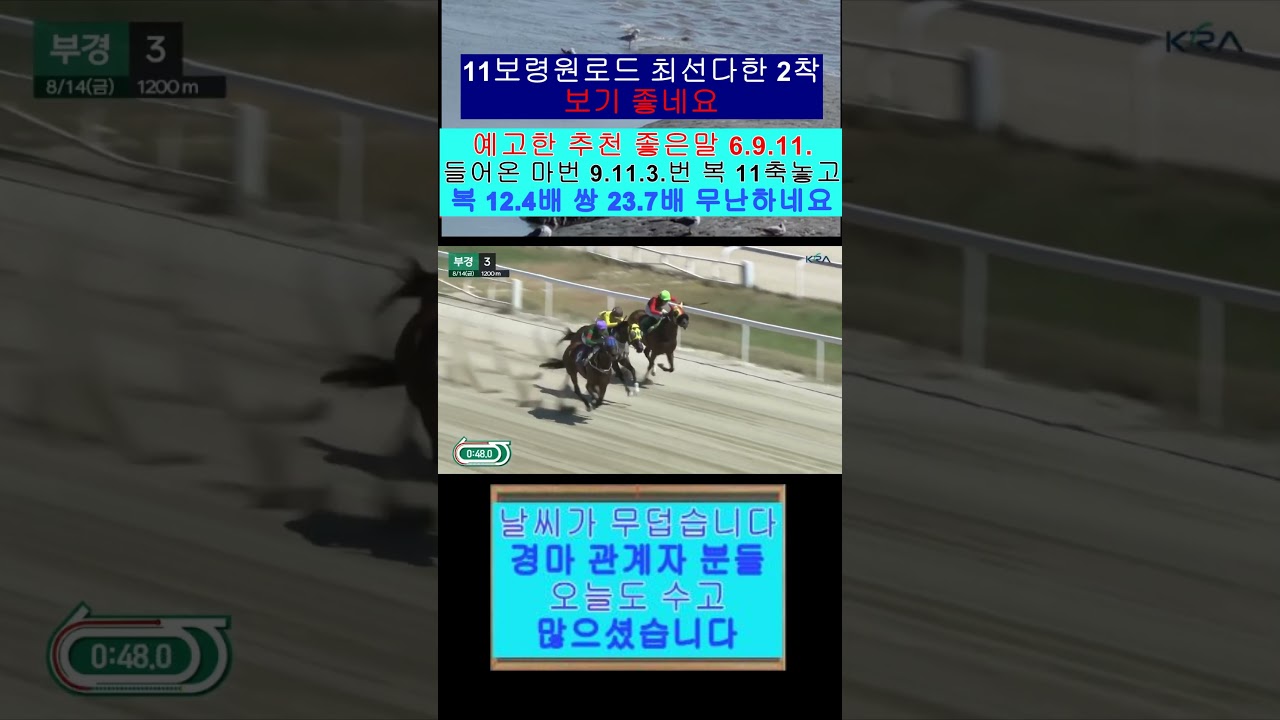 좋은말 6.9.11.첫번째 추천 11보령원로드 축놓고?