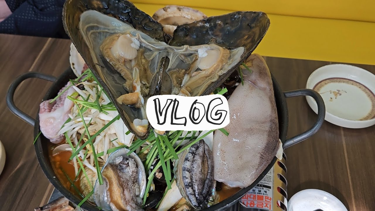 [브이로그] 55. 엄마 환갑 파티하고 황제해물짬뽕 먹고 양파덮밥 해먹은 백수 캥거루의 일상