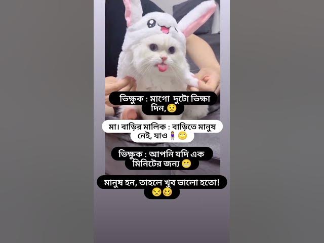 funny video 🤣#vairalvideo #vairalshort #trending #views #funny #foryou #cat