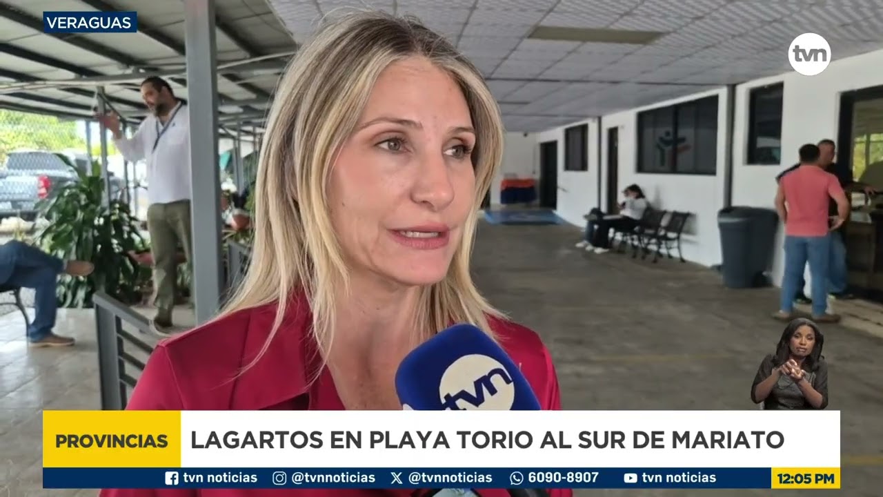 Buscan reubicar a un lagarto avistado en playa Torio de Veraguas