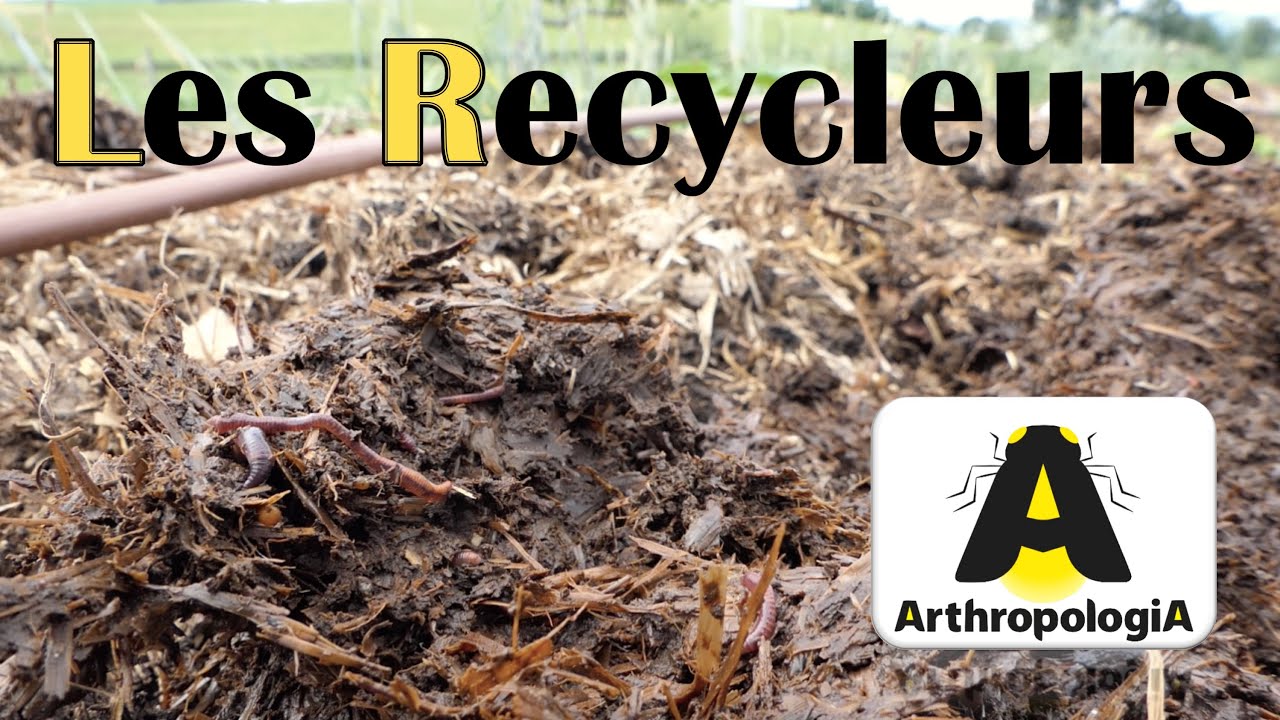 Biodiversité & agriculture : LES RECYCLEURS : Episode 3, Série du Vivant dans les champs