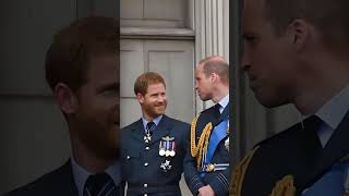#Meghan #Prince Harry #Prince William #Camilla #Prince Louis #Princess Charlotte #prince #news
